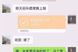 新都遇到恶意拖欠？专业追讨公司帮您解决烦恼